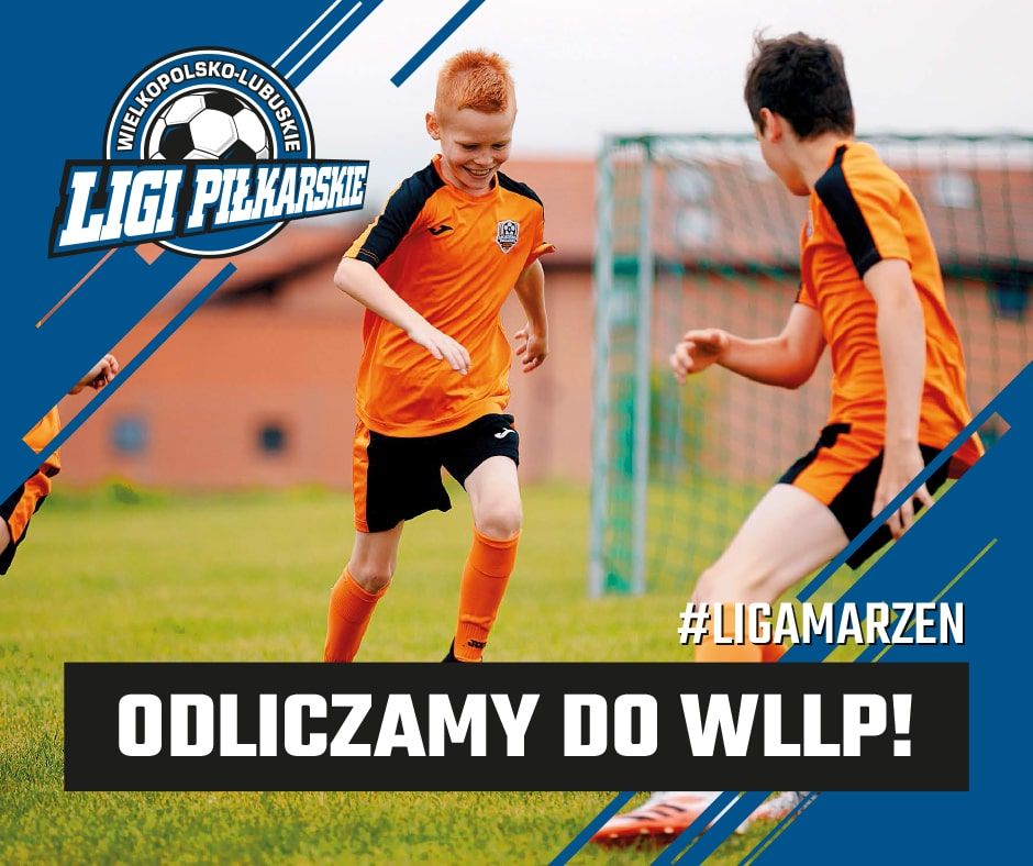 Guess who's back! Nadchodzi WLLP
