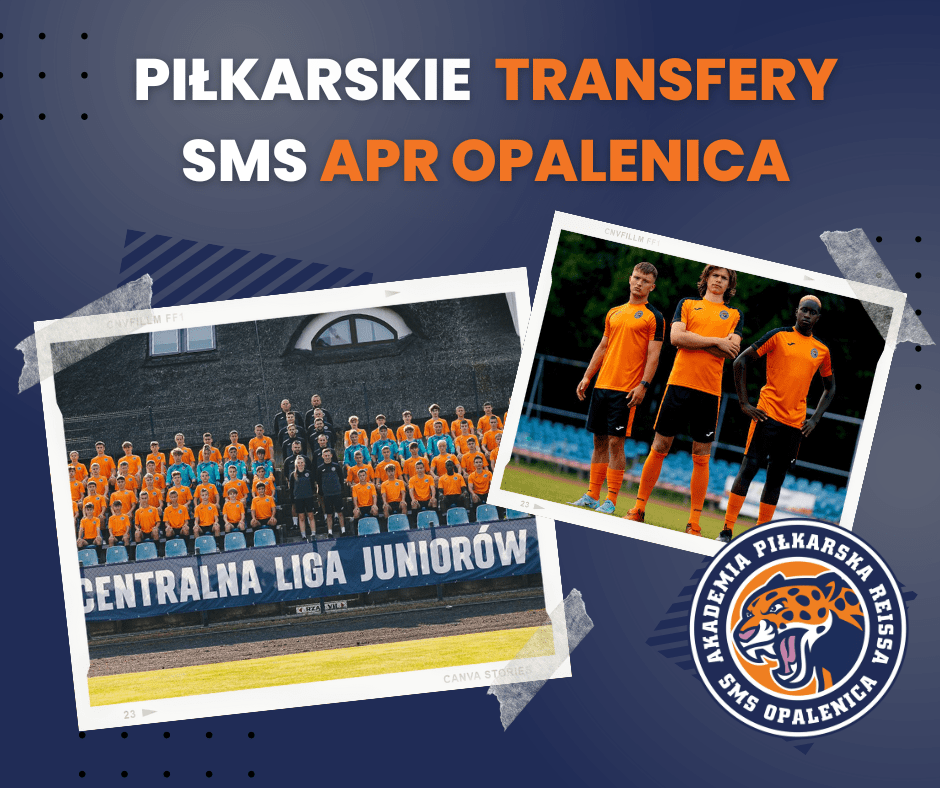 Transfer w dorosłość
